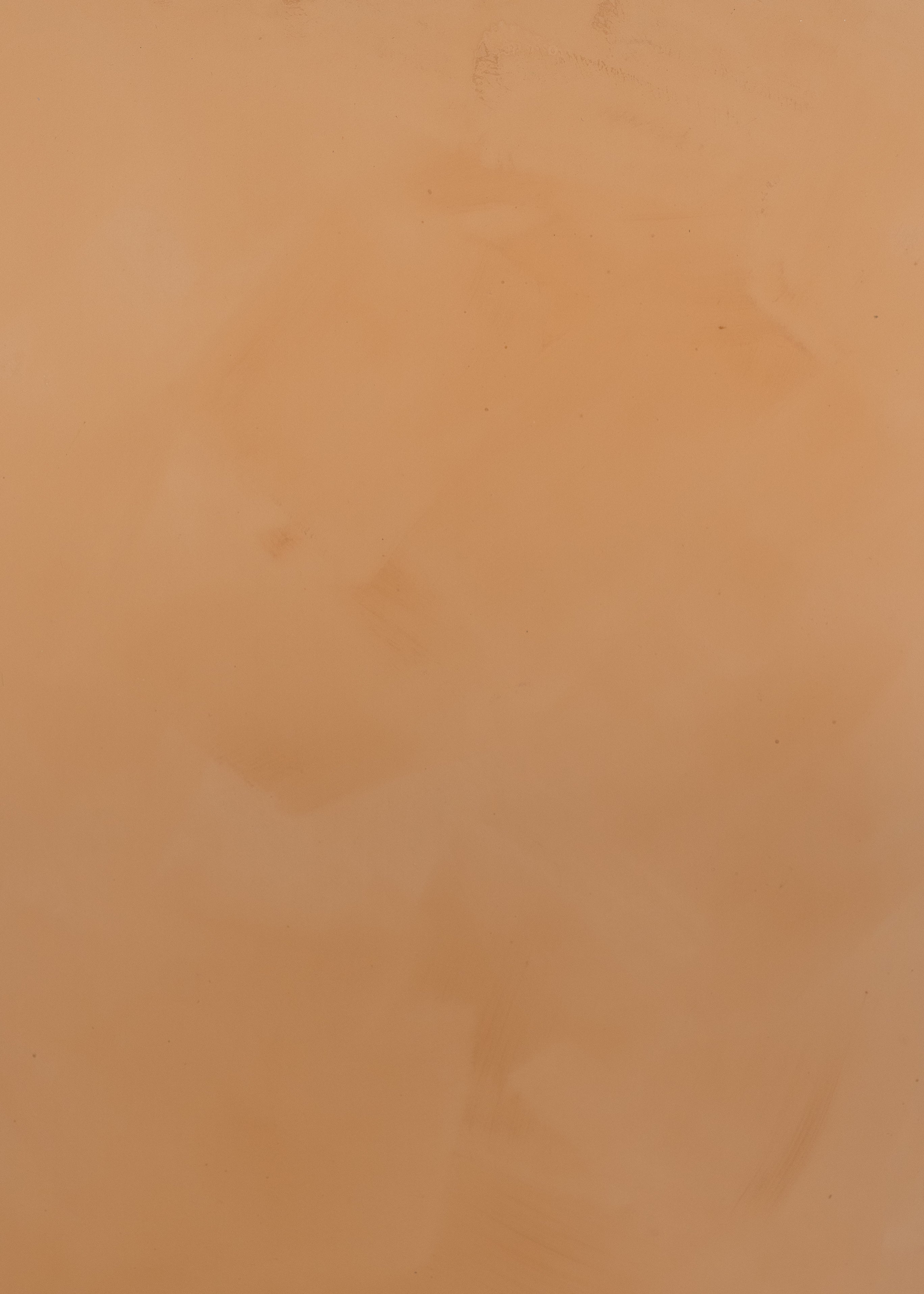 Cannelle Brulee Limewash Paint