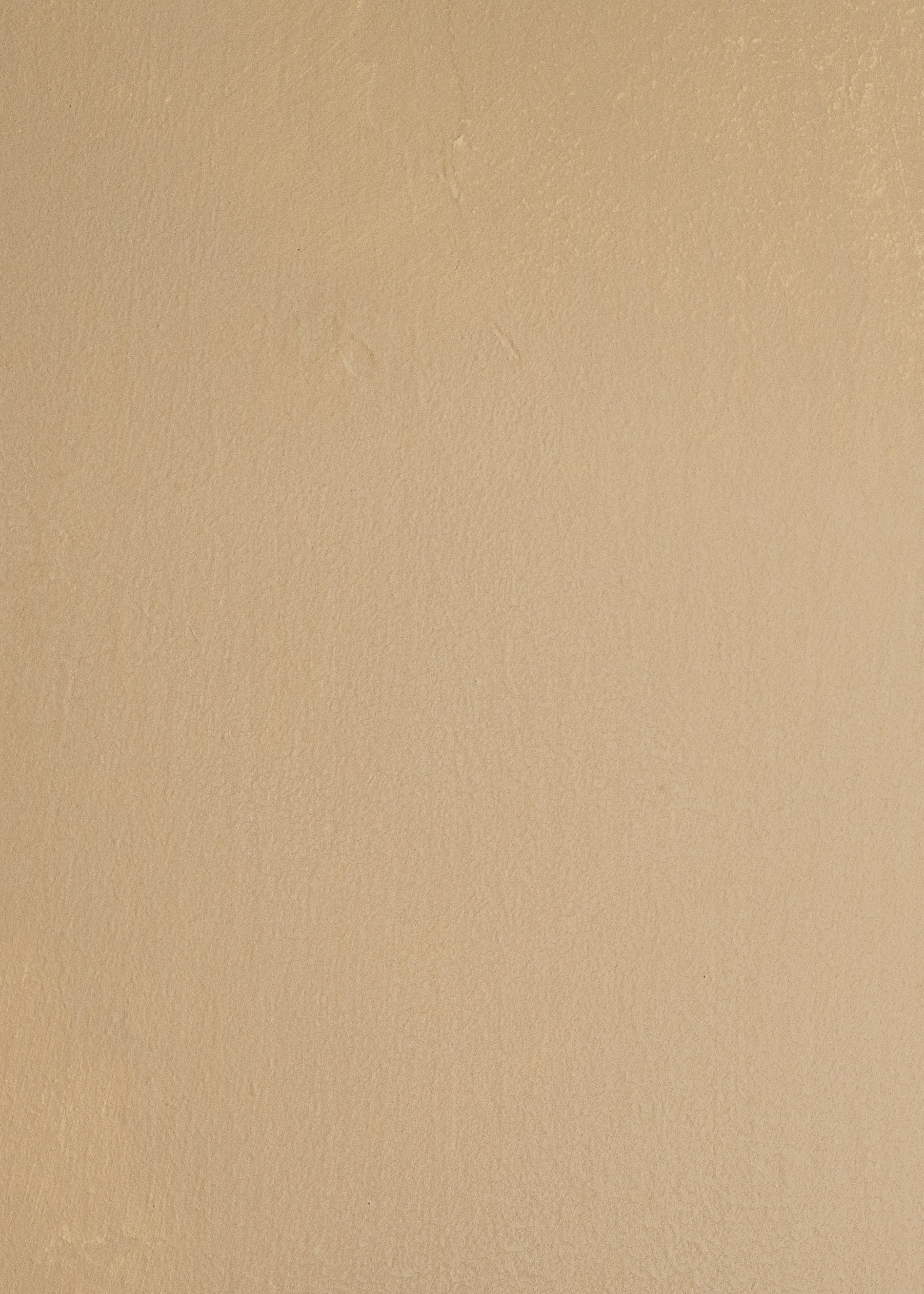 Caramel Limewash Paint
