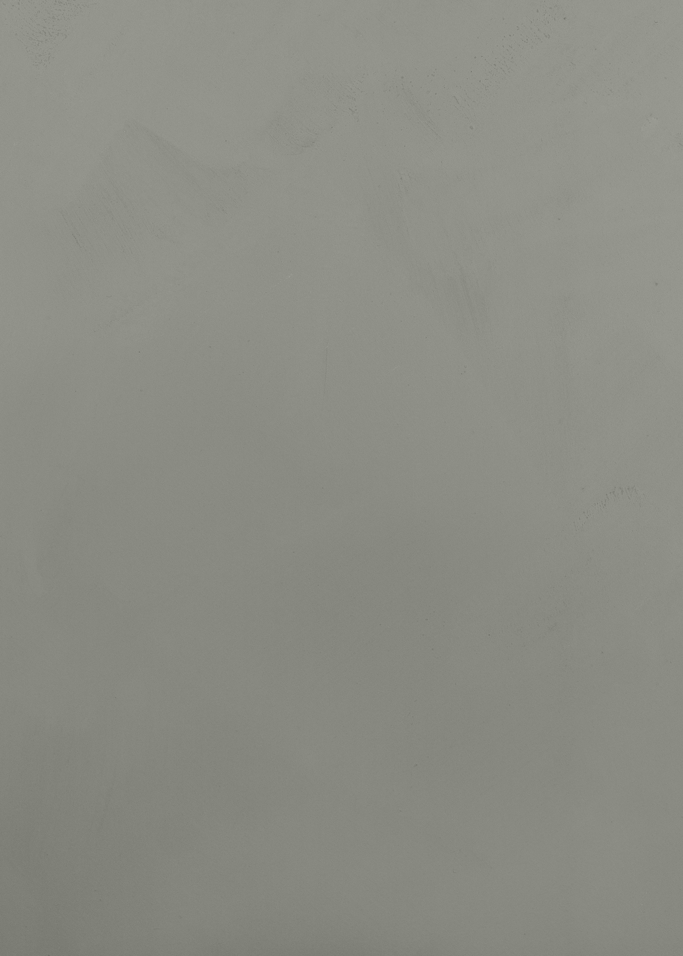 Lichen Limewash Paint