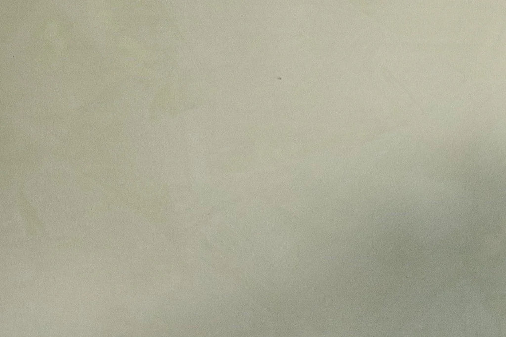 Olive Limewash Paint