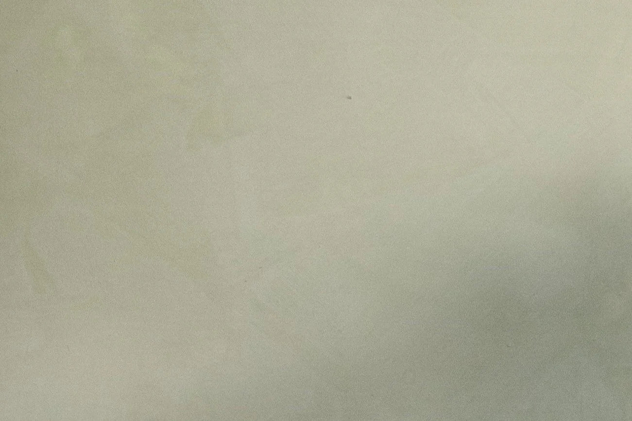 Olive Limewash Paint