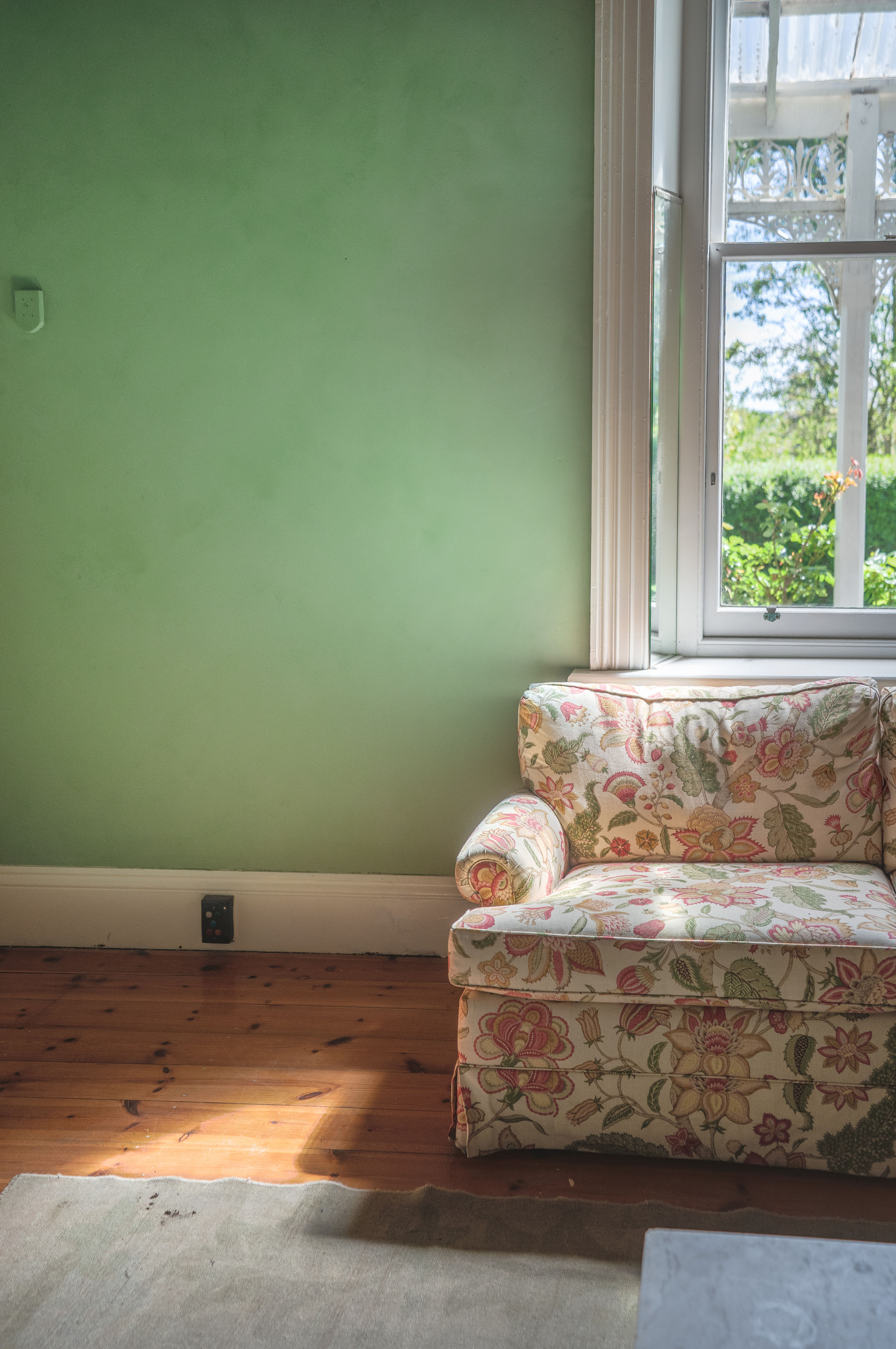 Pomme Limewash Paint