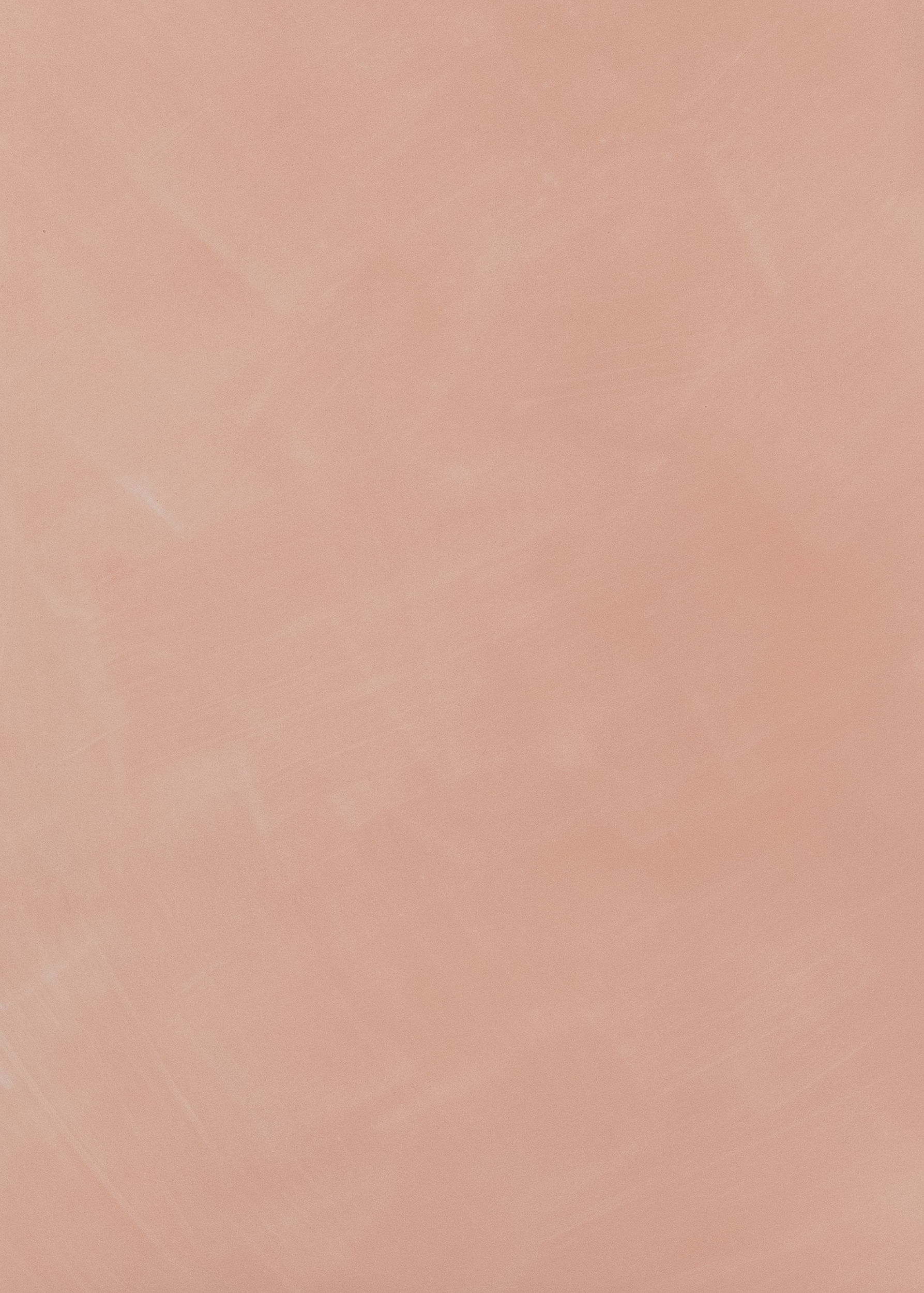 Rose Roussillon Limewash Paint
