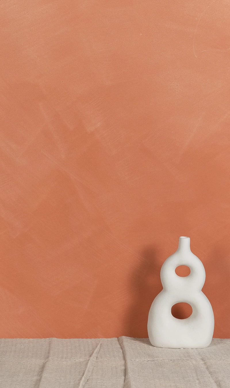Rouge Terracotta Limewash Paint