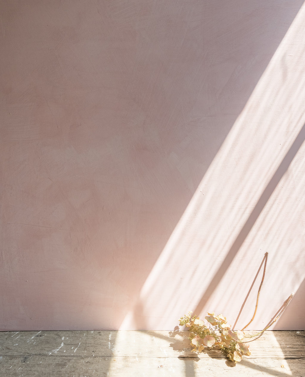 Tea Rose Limewash Paint