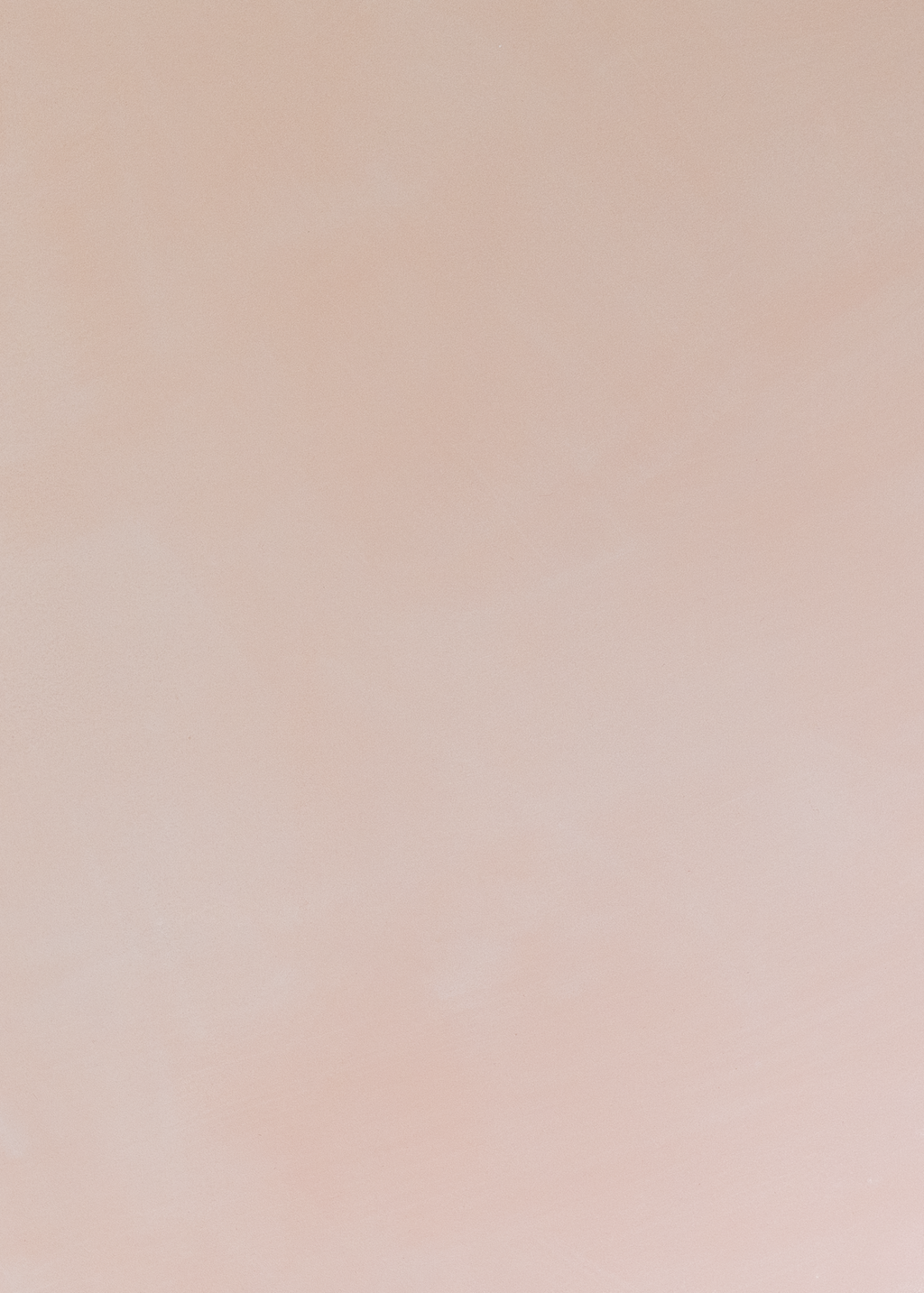 Tea Rose Limewash Paint