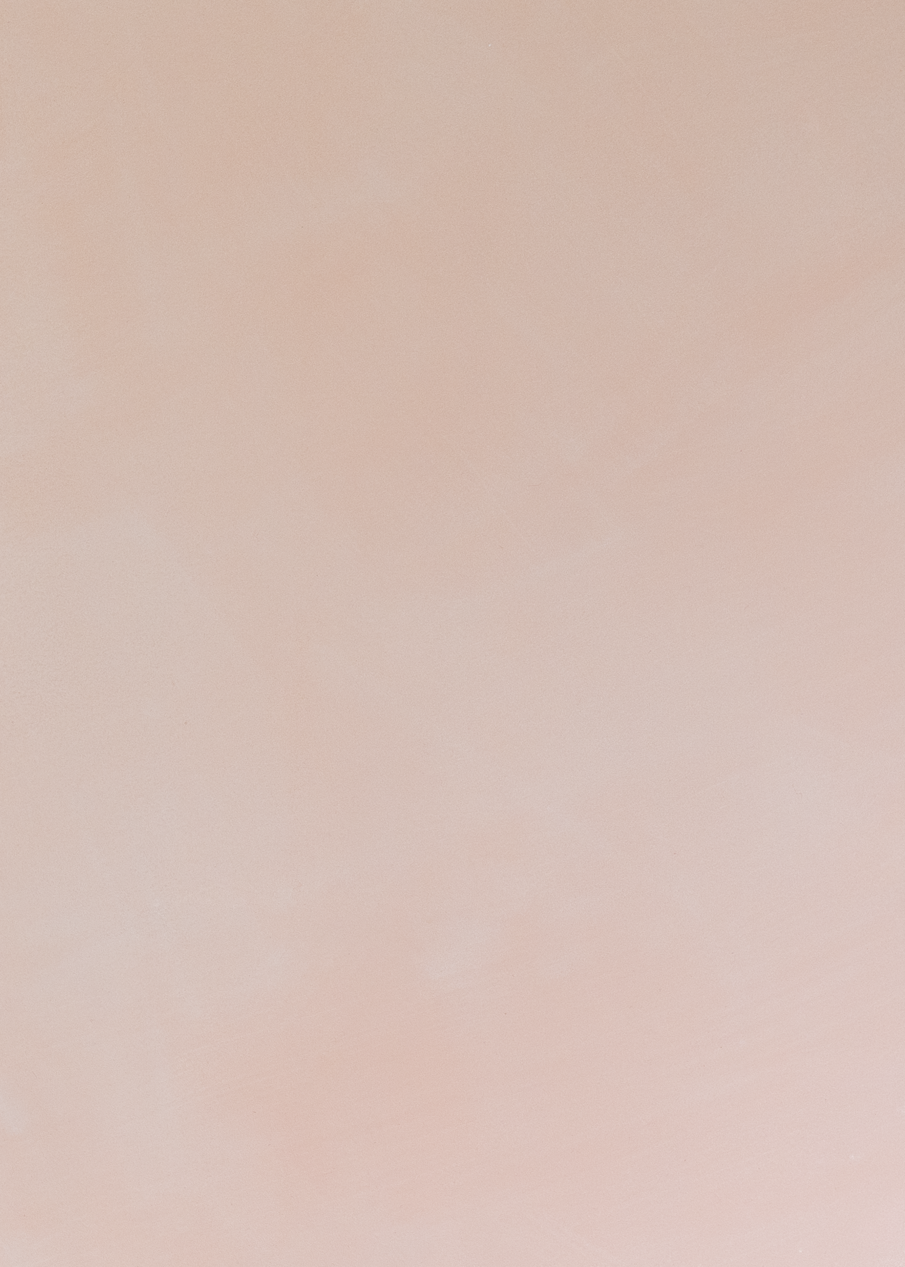 Tea Rose Limewash Paint